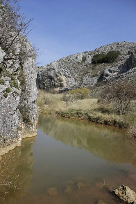 UBIERNA ENTRE LA DEHESA Y EL CAÑON